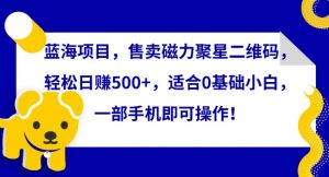 蓝海项目,售卖磁力聚星二维码,轻松日赚500+,适合0基础小白,一部手机即可操作【揭秘】-互联网资源大全网