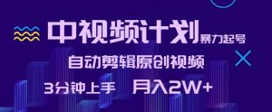 中视频计划暴力起号,自动剪辑原创视频,3分钟上手,月入2W+【揭秘】-第一资源库