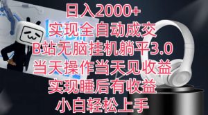 日入2000+，实现全自动成交，B站无脑挂机躺平3.0，当天操作当天见收益，实现睡后有收益【揭秘】-互联网资源大全网