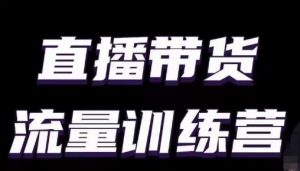 直播带货流量训练营,小白主播必学直播课-第一资源库