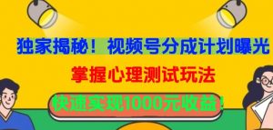 独家揭秘!视频号分成计划曝光,掌握心理测试玩法,快速实现1000元收益【揭秘】-互联网资源大全网