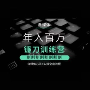 自媒体年入百万镰刀训练营，割割割割割割割割，自媒体心法+实操全套流程-互联网资源大全网