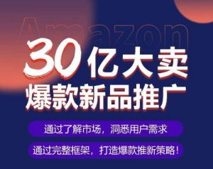 亚马逊·30亿大卖爆款新品推广,可复制、全程案例实操的爆款推新SOP-互联网资源大全网