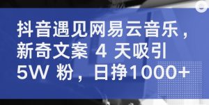 抖音遇见网易云音乐，新奇文案 4 天吸引 5W 粉，日挣1000+【揭秘】-互联网资源大全网