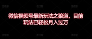 微信视频号最新玩法之狼道,目前玩法已轻松月入过万【揭秘】-第一资源库
