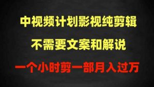 中视频计划影视纯剪辑，不需要文案和解说，一个小时剪一部，100%过原创月入过万【揭秘】-互联网资源大全网