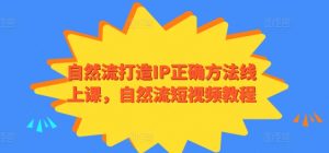 自然流打造IP正确方法线上课，自然流短视频教程-互联网资源大全网