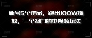 新号5个作品,跑出100W播放,一个冷门的中视频玩法【揭秘】-第一资源库
