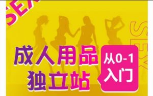 成人用品独立站从0-1入门,成品独立站运营全流程教学,七大好卖成品独立站推荐-互联网资源大全网