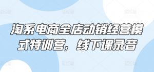 淘系电商全店动销经营模式特训营,线下课录音-第一资源库