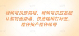 视频号投放教程,视频号投放基础认知完善疏通,快速建模打标签,稳住投产稳住账号-互联网资源大全网