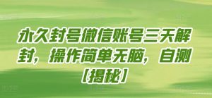 永久封号微信账号三天解封,操作简单无脑,自测【揭秘】-第一资源库
