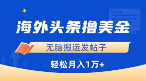 海外头条撸美金，无脑搬运发帖子，月入1万+，小白轻松掌握【揭秘】-互联网资源大全网