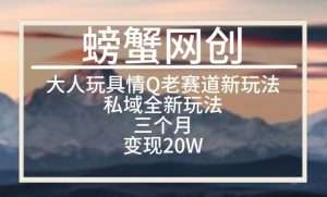 大人玩具情Q用品赛道私域全新玩法,三个月变现20W,老项目新思路【揭秘】-第一资源库