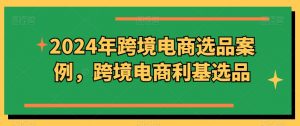 2024年跨境电商选品案例，跨境电商利基选品-第一资源库