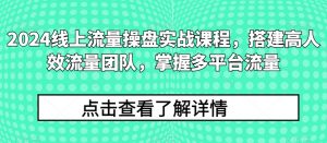 2024线上流量操盘实战课程,搭建高人效流量团队,掌握多平台流量-互联网资源大全网