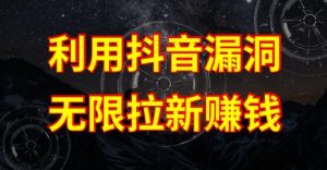 利用抖音链接漏洞，无限拉新赚钱【漏洞原理+操作流程】【揭秘】-互联网资源大全网