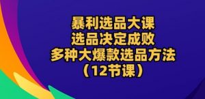 暴利选品大课:选品决定成败,教你多种大爆款选品方法(12节课)-互联网资源大全网