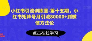 小红书引流训练营-第十五期，小红书矩阵号月引流80000+到微信方法论-互联网资源大全网