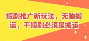 短剧推广新玩法，无脑搬运，干短剧必须是搬运【揭秘】-互联网资源大全网