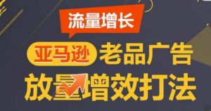 亚马逊流量增长-老品广告放量增效打法，循序渐进，打造更多TOP listing​-互联网资源大全网