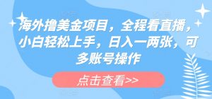 海外撸美金项目，全程看直播，小白轻松上手，日入一两张，可多账号操作【揭秘】-互联网资源大全网
