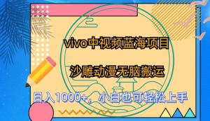 vivo中视频蓝海项目，沙雕动漫无脑搬运，小白也可轻松上手【揭秘】-第一资源库