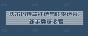 沃尔玛爆款打造与旺季运营，新手卖家必看-第一资源库
