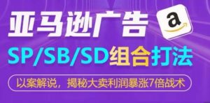 亚马逊SP/SB/SD广告组合打法,揭秘大卖利润暴涨7倍战术-互联网资源大全网