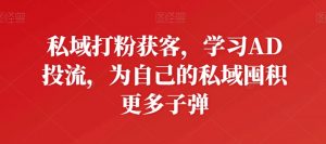 私域打粉获客,学习AD投流,为自己的私域囤积更多子弹-互联网资源大全网