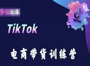 TikTok电商带货训练营，跟随时代潮流，跨境掘金-互联网资源大全网