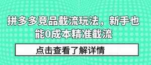拼多多竞品截流玩法，新手也能0成本精准截流-互联网资源大全网