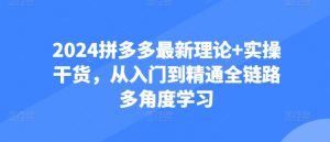 2024拼多多最新理论+实操干货，从入门到精通全链路多角度学习-互联网资源大全网