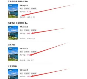 磁力聚星游戏副业陪跑训练营1.0,长期稳定项目,有人一周干了1K+-互联网资源大全网