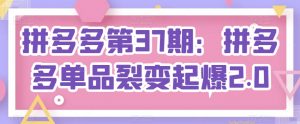 拼多多第37期：拼多多单品裂变起爆2.0-互联网资源大全网