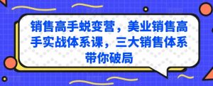 销售高手蜕变营,美业销售高手实战体系课,三大销售体系带你破局-互联网资源大全网