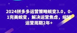 2024拼多多运营策略蜕变3.0，0-1完美蜕变，解决运营焦虑，缩短运营周期2年+-第一资源库
