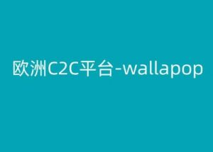 欧洲C2C平台-wallapop-kim跨境电商教程-互联网资源大全网