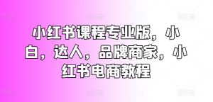 小红书课程专业版，小白，达人，品牌商家，小红书电商教程-互联网资源大全网