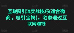 互联网引流实战技巧(适合微商,吸引宝妈),宅家通过互联网赚钱-互联网资源大全网