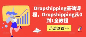 Dropshipping基础课程,Dropshipping从0到1全教程-互联网资源大全网