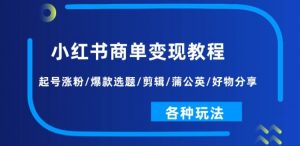 小红书商单变现教程:起号涨粉/爆款选题/剪辑/蒲公英/好物分享/各种玩法-互联网资源大全网