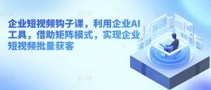 企业短视频钩子课，利用企业AI工具，借助矩阵模式，实现企业短视频批量获客-互联网资源大全网
