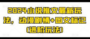 2024小说推文最新玩法，动漫剧情+图文标记(进阶玩法)-互联网资源大全网