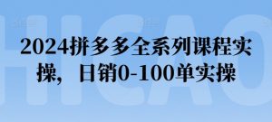 2024拼多多全系列课程实操，日销0-100单实操【必看】-互联网资源大全网