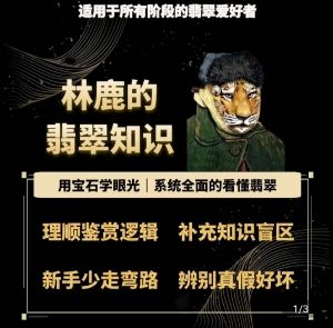 林鹿的翡翠知识，​用宝石眼光，系统全面的看懂翡翠-第一资源库