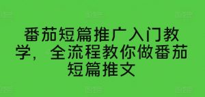 番茄短篇推广入门教学，全流程教你做番茄短篇推文-互联网资源大全网