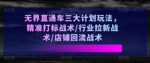 无界直通车三大计划玩法,精准打标战术/行业拉新战术/店铺回流战术-第一资源库