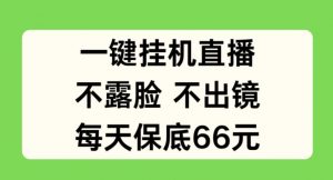 一键挂JI直播，不露脸不出境，每天保底66元【揭秘】-互联网资源大全网