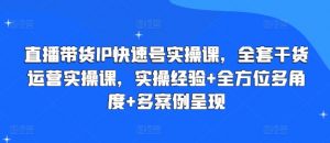 直播带货IP快速号实操课,全套干货运营实操课,实操经验+全方位多角度+多案例呈现-互联网资源大全网
